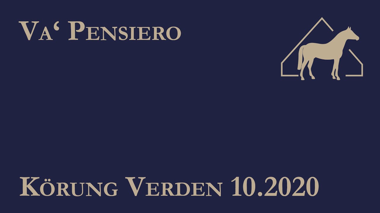 VaPensiero Körung Verden 2020