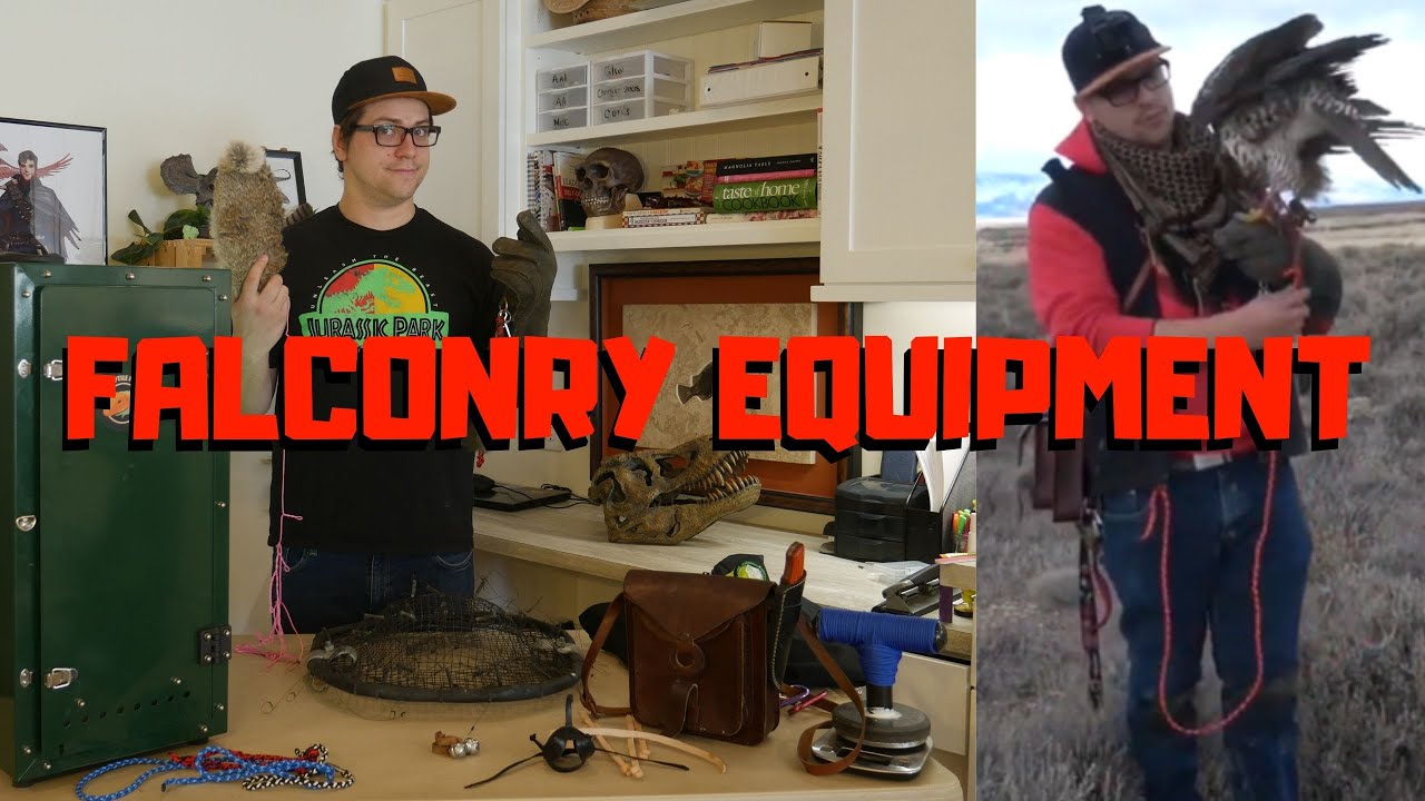 Falconry Equipment You Need to Get Started