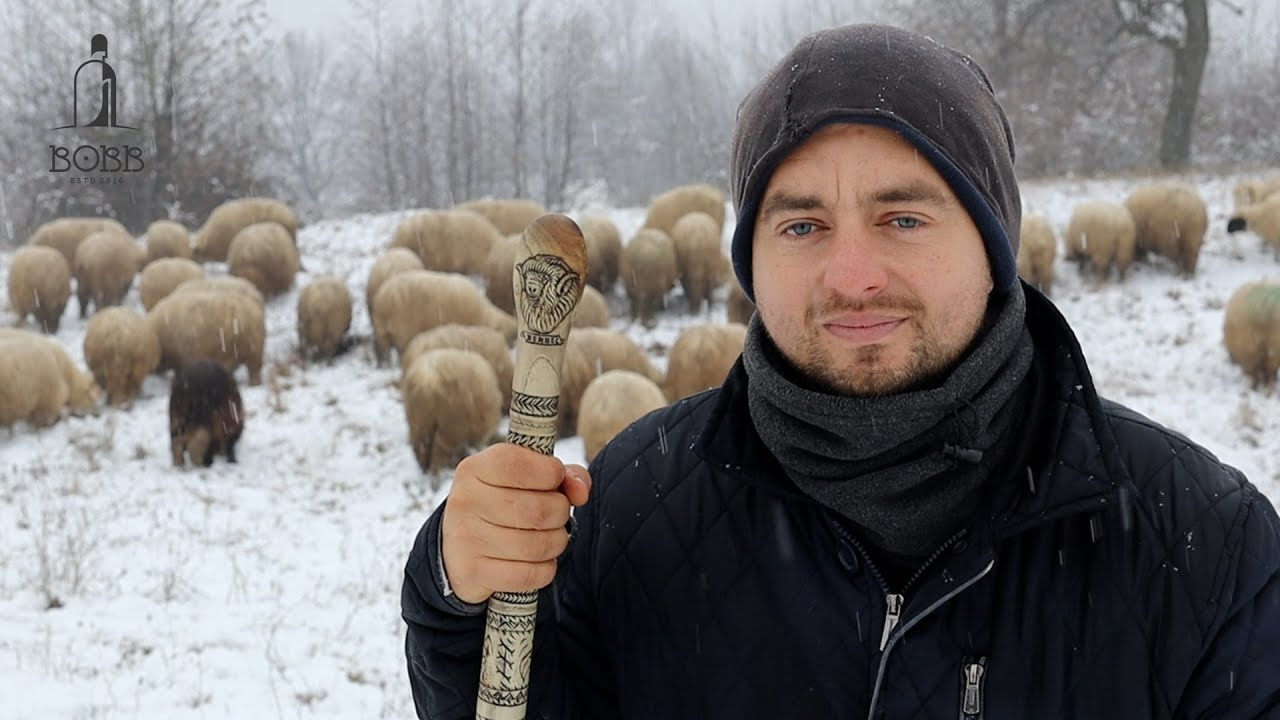 PĂSTORITUL ÎNTR-O ZI CU ZĂPADĂ | CUM FACI O GENETICĂ BUNĂ LA OI BĂLE? | SE POATE TRĂI DIN 100 DE OI?