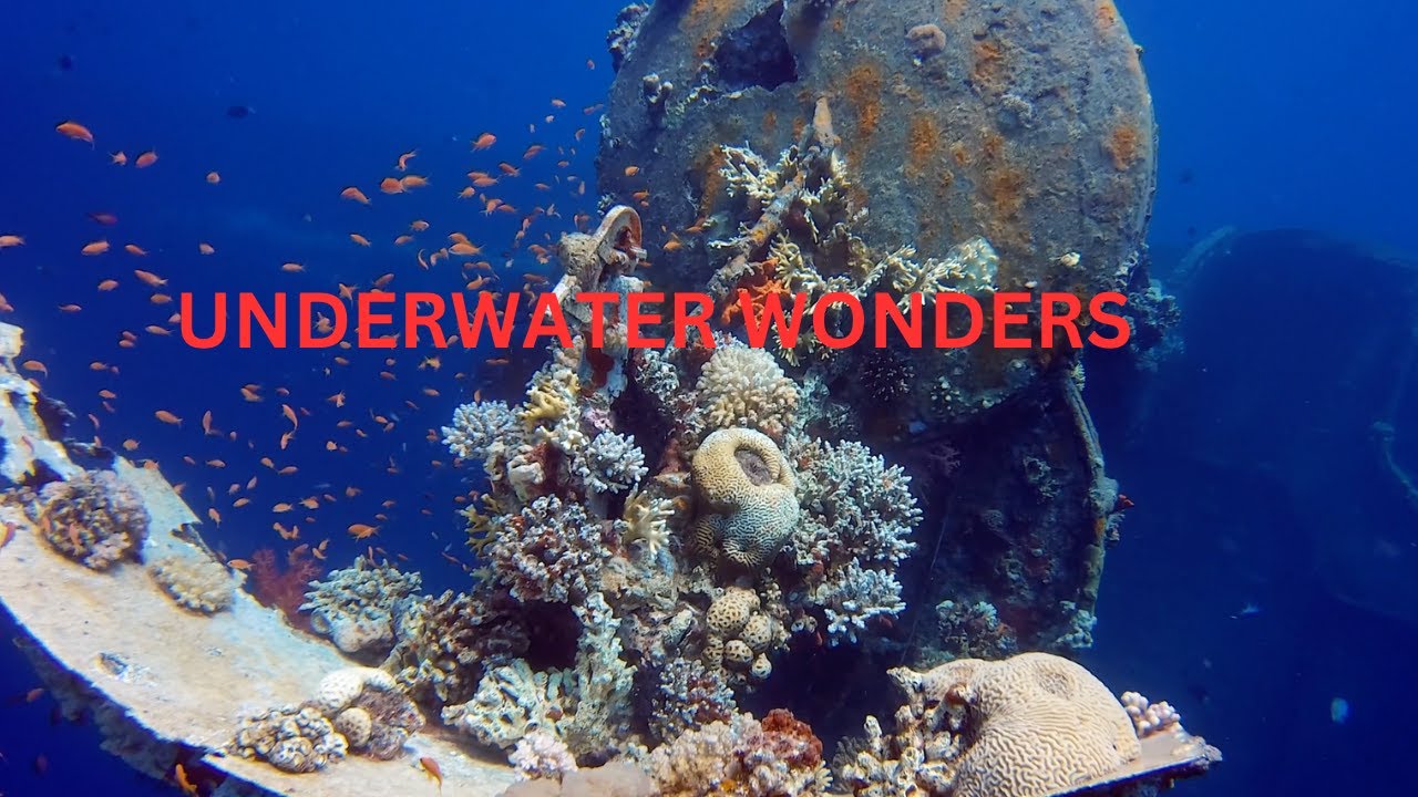 Underwater Wonders+Relaxation