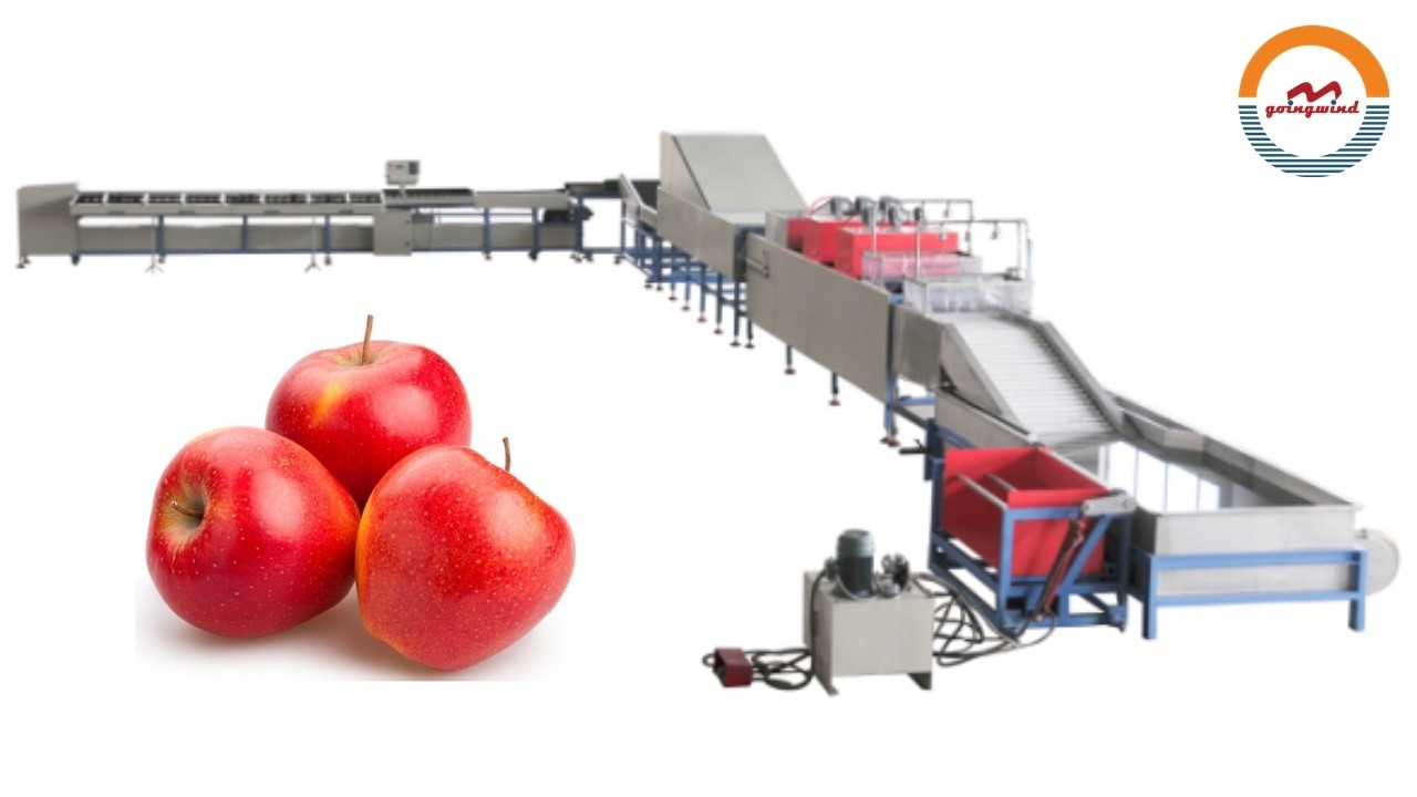 Automatic Apple Washing Waxing Drying and Grading Machine Industrial Apples Cleaning, Sorting Line