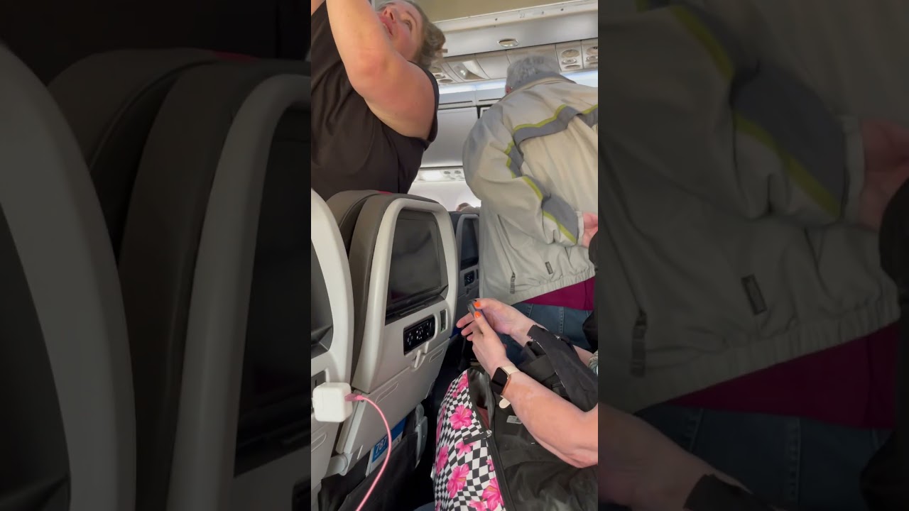 Boeing 787 American Airlines Economy Cabin