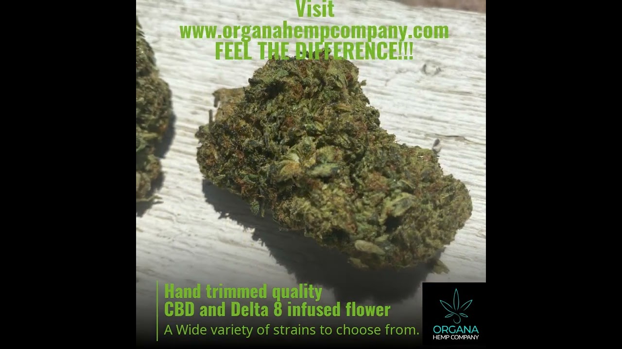 Hand trimmed quality CBD and Delta 8 infused flower