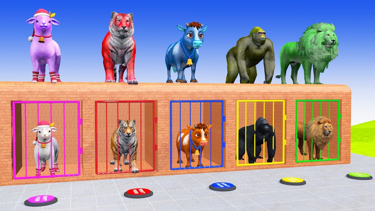 Long Slide With Cow Elephant Gorilla Hippopotamus 3d Animal Game Funny 3d Animals