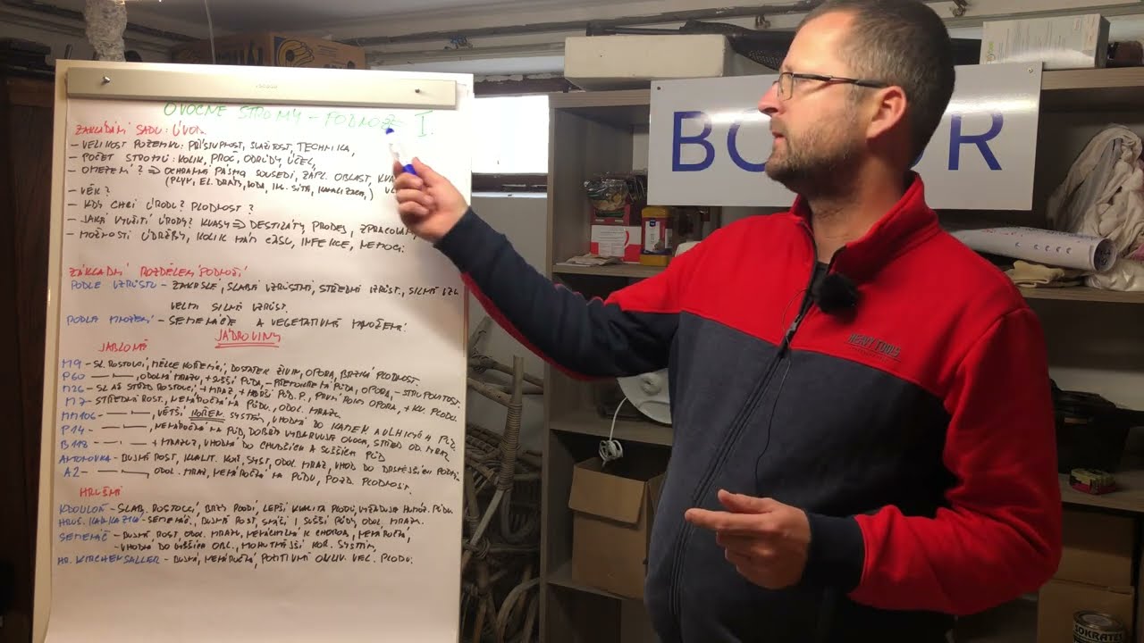 Rozdělení podnoží ovocných stromů, vliv na výsadbu, růst a rozmístění, úvod. JÁDROVINY Radkův sad