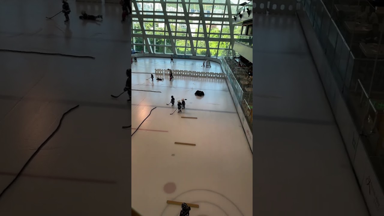 Ice Hockey