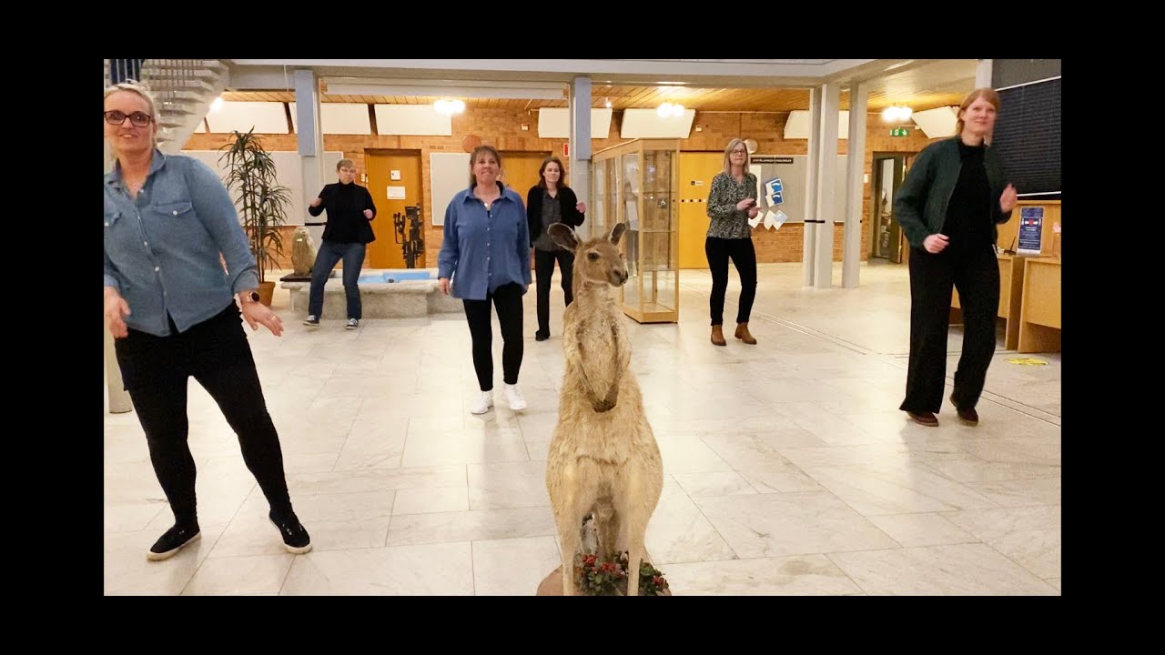 Jerusalema Challenge i Hagfors stadshus
