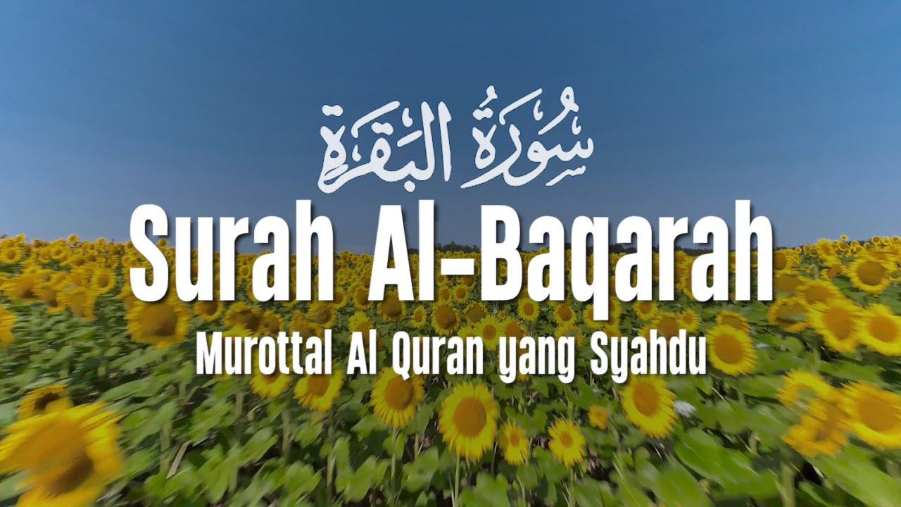 Surah Al Baqarah سورة البقرة Dengan Suara Indah Membuat Hati Tenang | Ahmad Al Shalabi