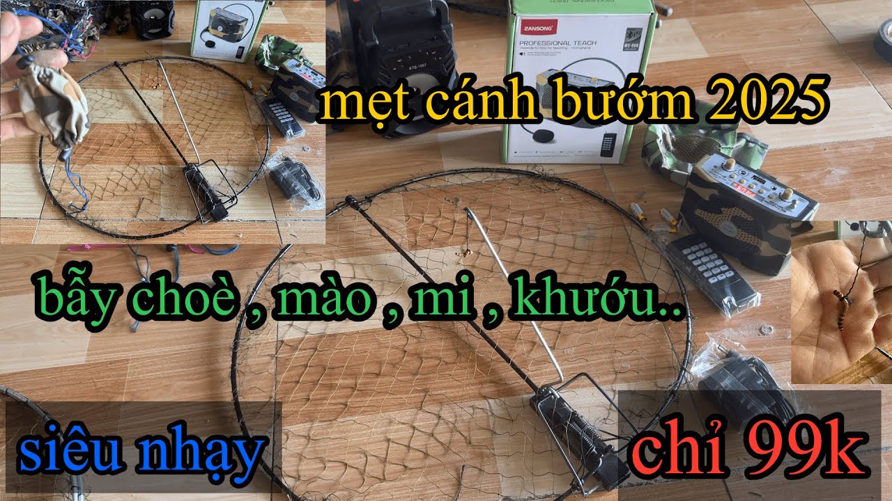 bẫy chòe than , chào mào , họa mi , khướu , bồ chao bằng bẫy cánh bướm 2025