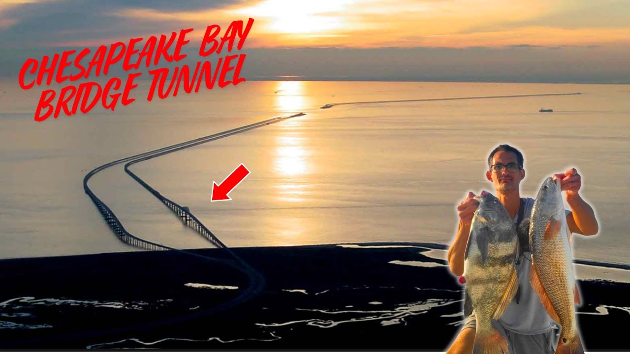 Fishing a World Famous Bridge Tunnel For Dinner! | Multi-species Bag Limits! CBBT