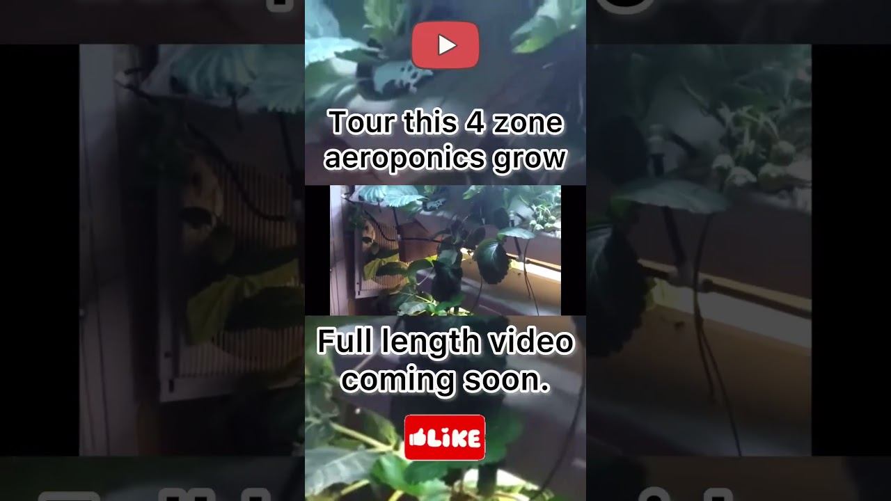 4 zone HPA grow with solenoids (quick tour)