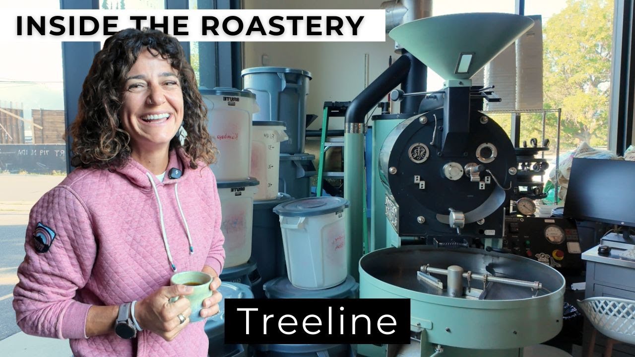 Внутри обжарочного цеха Treeline Coffee Roasters (экскурсия за кулисы)