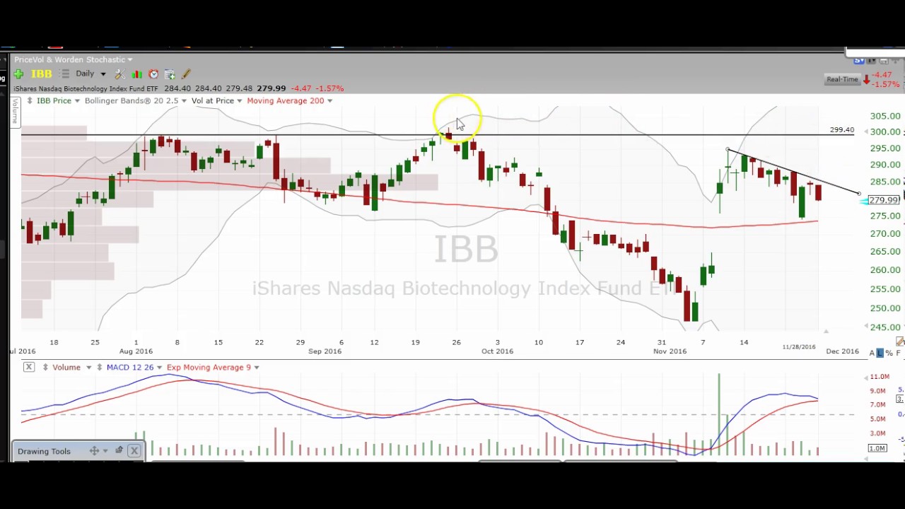 Biotech Chart Technical Analysis $IBB $NBI $XBI $UBIO $LABU $LABD $BIB $FBT $GILD $BIIB $CELG $AMGN