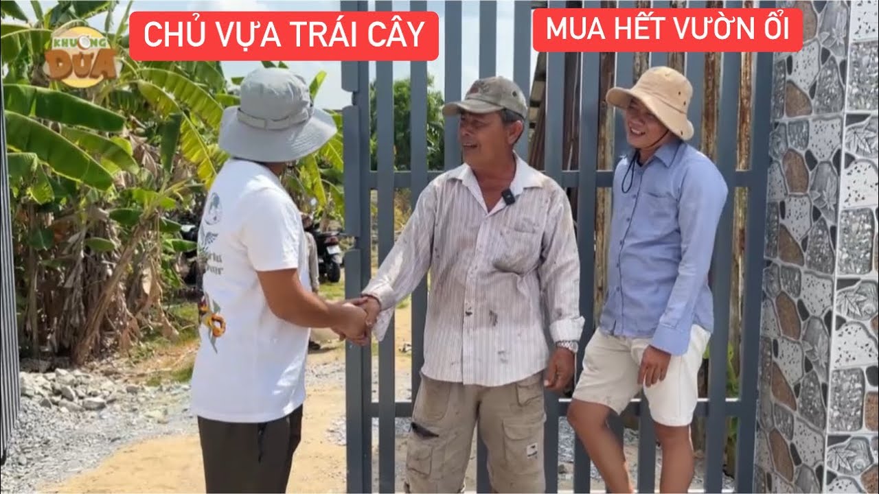 Ba vợ Khương Dừa muốn xỉu khi rể đu đủ giới thiệu 2 chủ vựa trái cây đến mua hết vườn ổi chín rộ