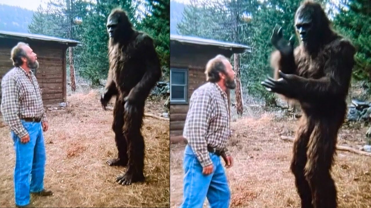 He Spoke to a Bigfoot for 4 Hours. What It Revealed About Our World Is Terrifying - Sasquatch Story