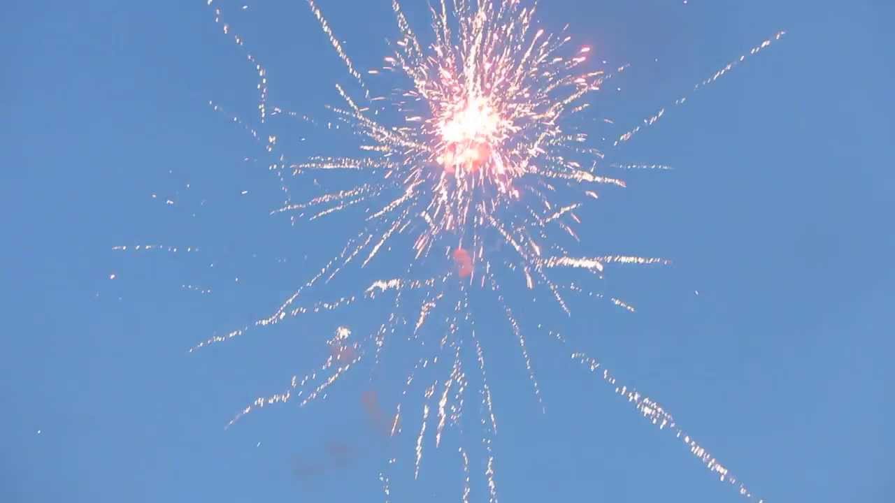 100 Shots Flowerbed 15 kg Fireworks