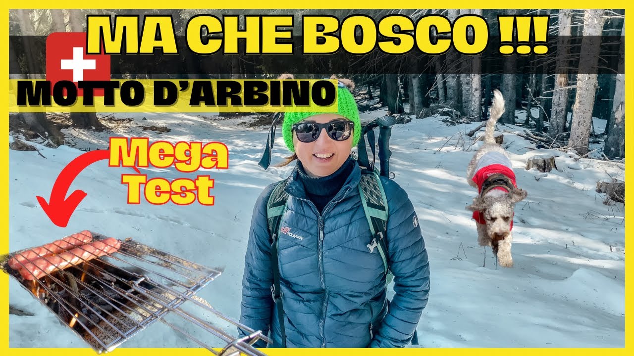 Un PARADISO innevato | Motto d’Arbino | Valle Morobbia | Bellinzona | CH