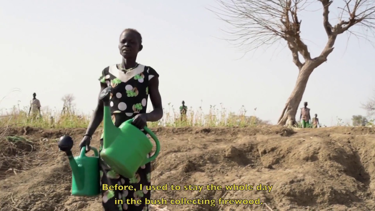 Improving agriculture in Aweil, South Sudan