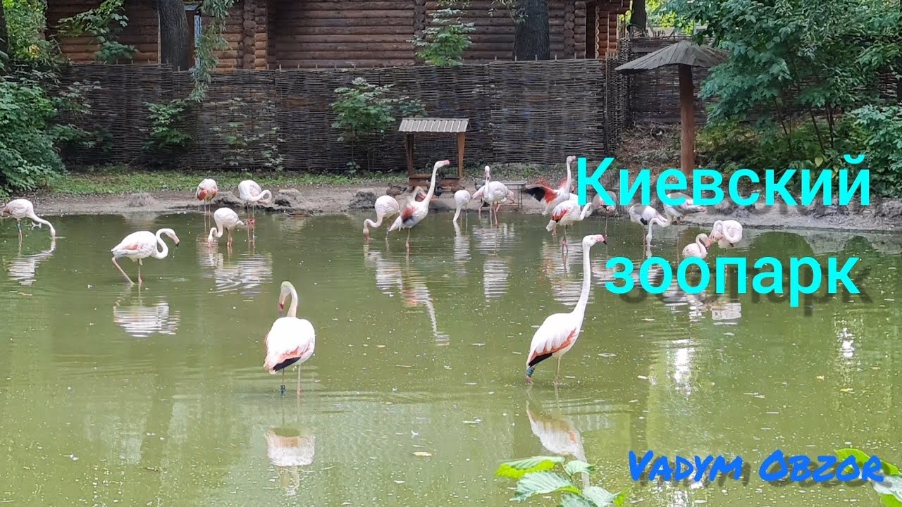 Киевский зоопарк