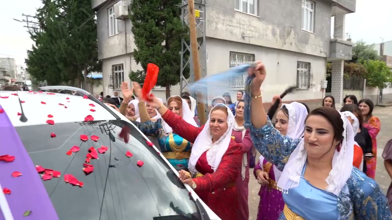 06 Daweta Aşira Xelilan Adana Gülsüm & Azad Yağan Düğün