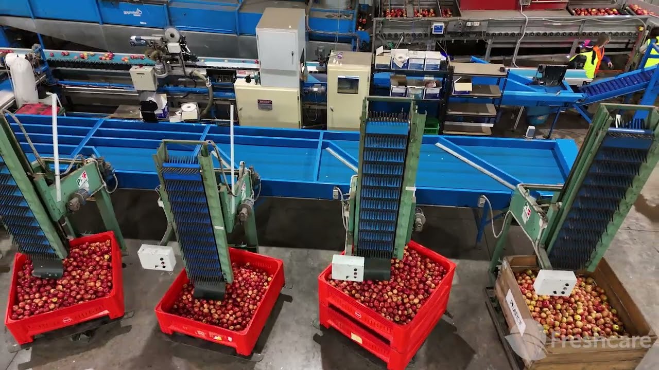 Freshcare  Food Safety & Quality 4.2 Certified Business - Biteriot, NSW