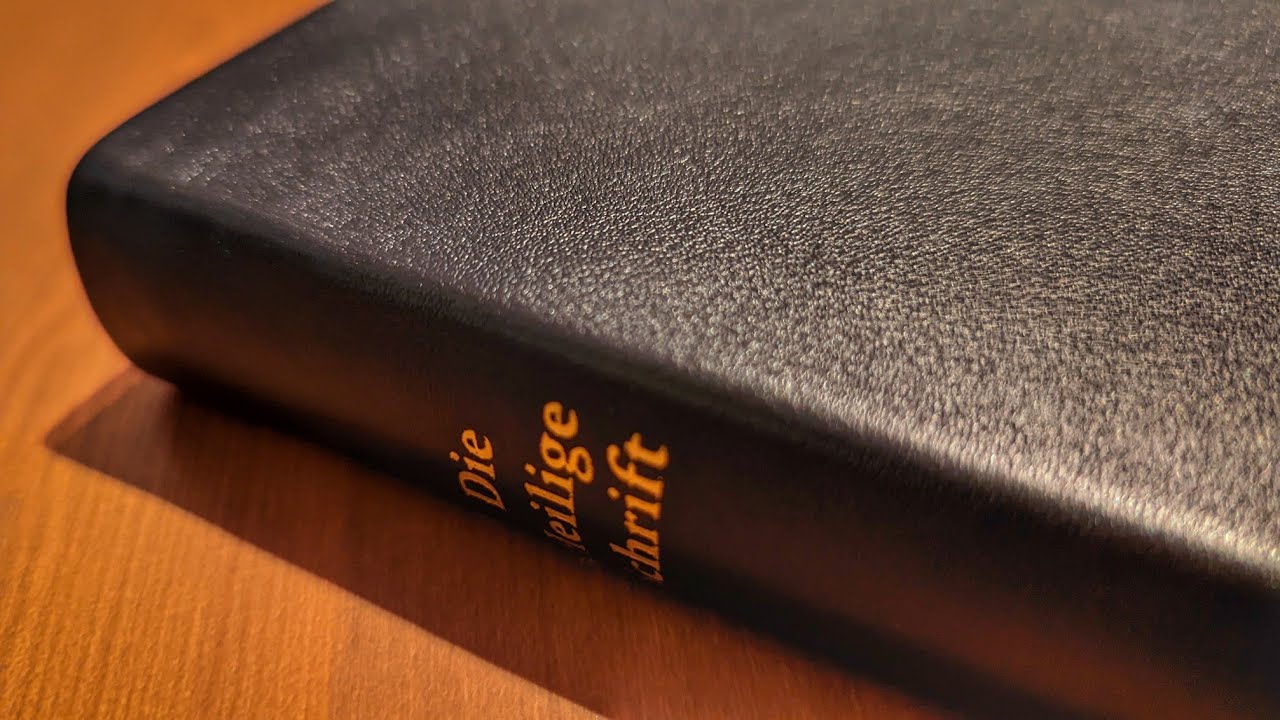 Bibel - Elberfelder Bibel Edition CSV - große Taschenbibel, Leder, Goldschnitt