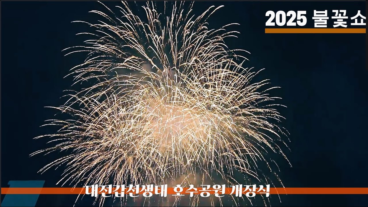 2025 불꽃놀이 대전갑천생태 호수공원 개장식 불꽃쇼 #불꽃놀이 #불꽃쇼 #대전호수공원 #대전갑천생태호수공원 개장식