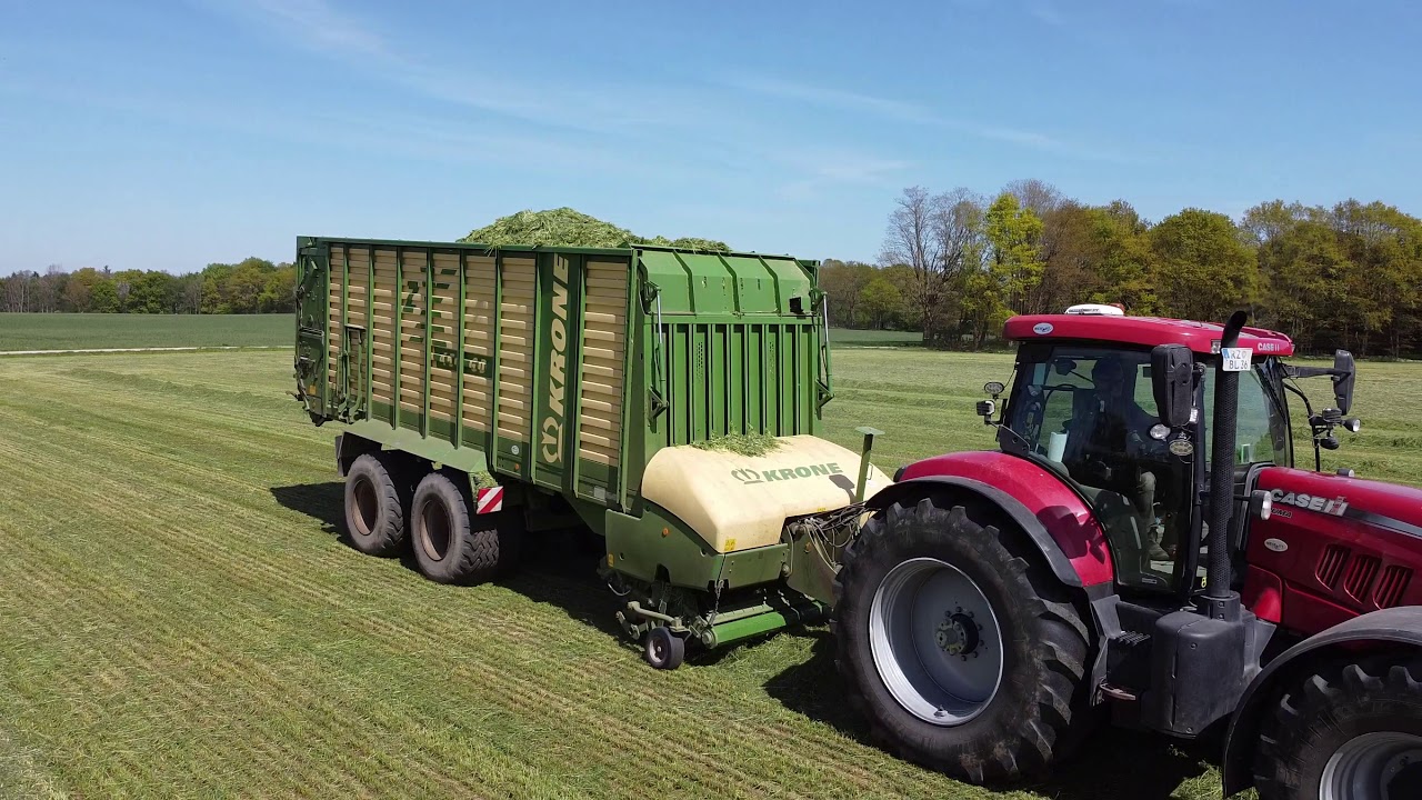 Ackergras | 1. Schnitt | 08.05.2020 | Schleswig-Holstein | Fendt 716+714 | Case Puma 230 + Krone ZX