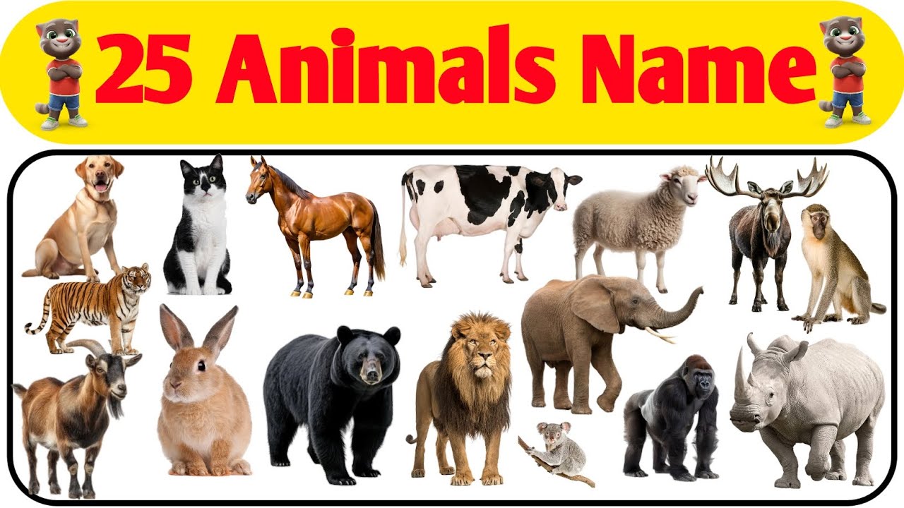 25 Animals Name | 25 जानवरों के नाम | Kids Learn Animals Names in English with Pictures