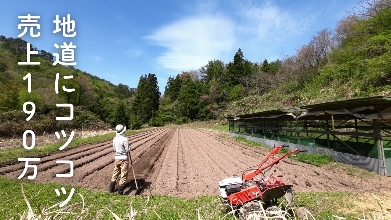 トラクターなし、小さい農業／昨年の売上と今年作る野菜／新規就農8年／売れた野菜【つちのうえ日記 ＃10】