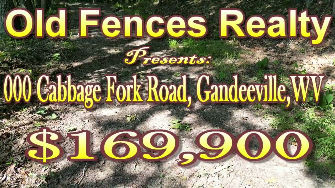 000 Cabbage Fork Road, Gandeeville, WV 25243 (160+/- Acres) $169,900.00
