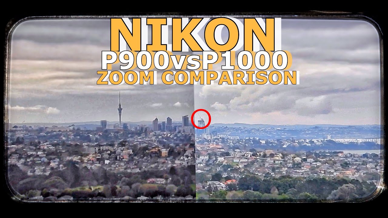 Nikon P900 vs P1000: Zoom Comparison - Commercial Bay