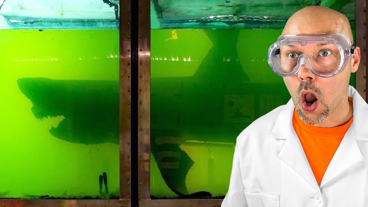 Abandoned Shark Lab (secret)