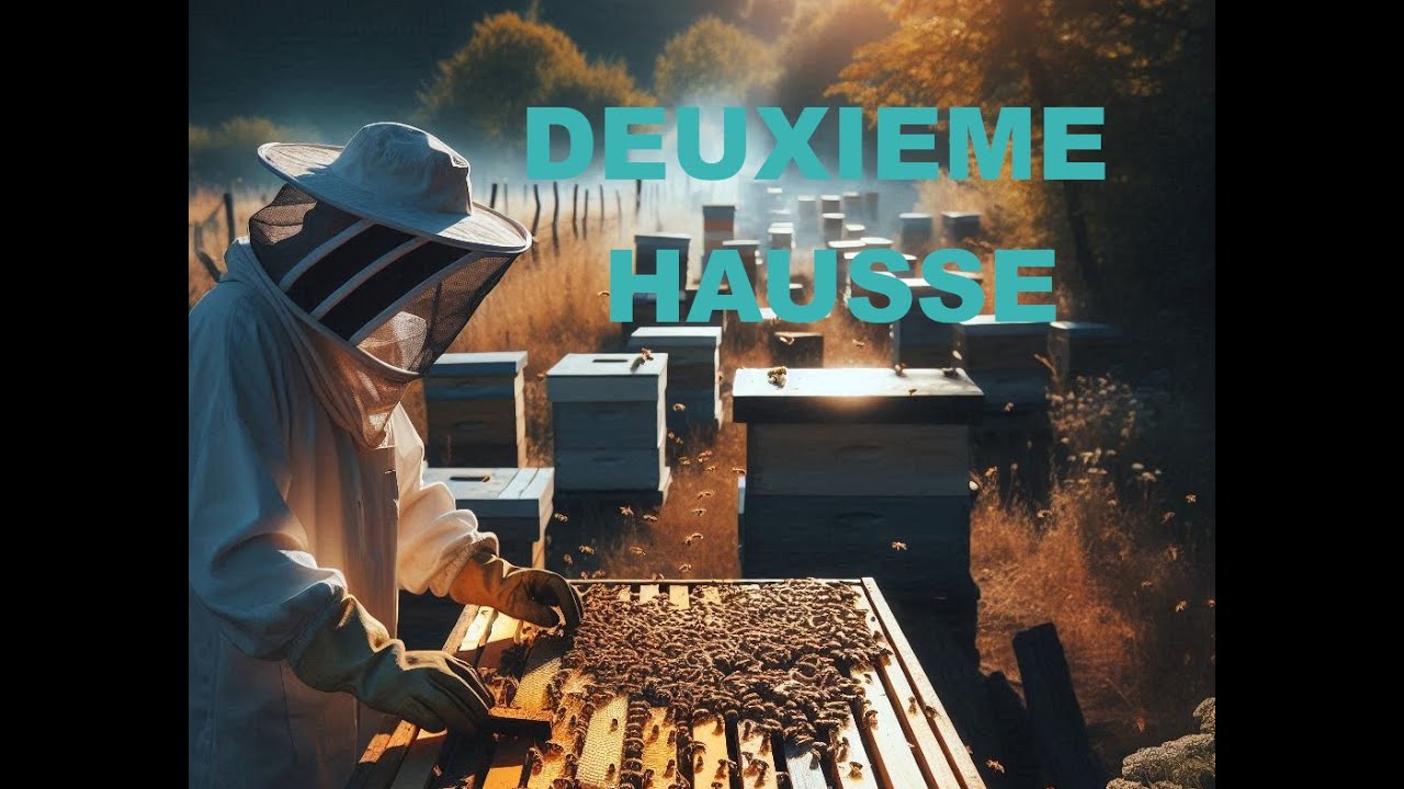 Pose de la deuxième hausse
