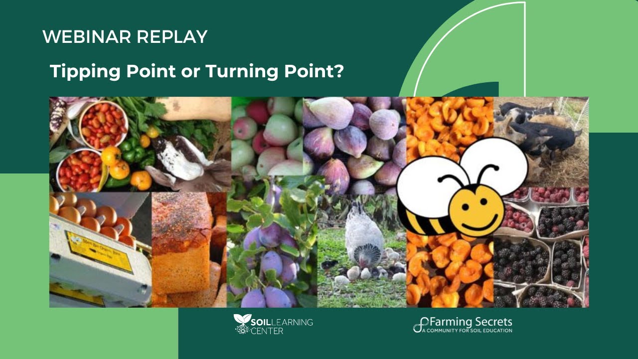 Tipping Point or Turning Point? with Bee Winfield