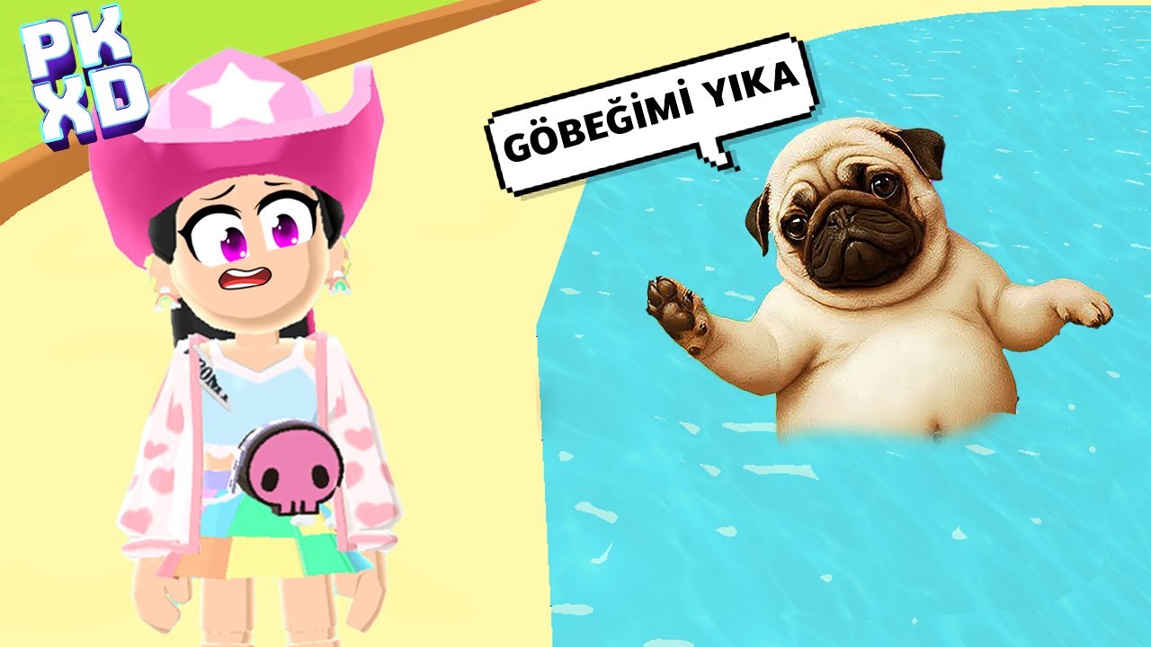 PKXD'de BİR PIBBLE SAHİPLENDİM !