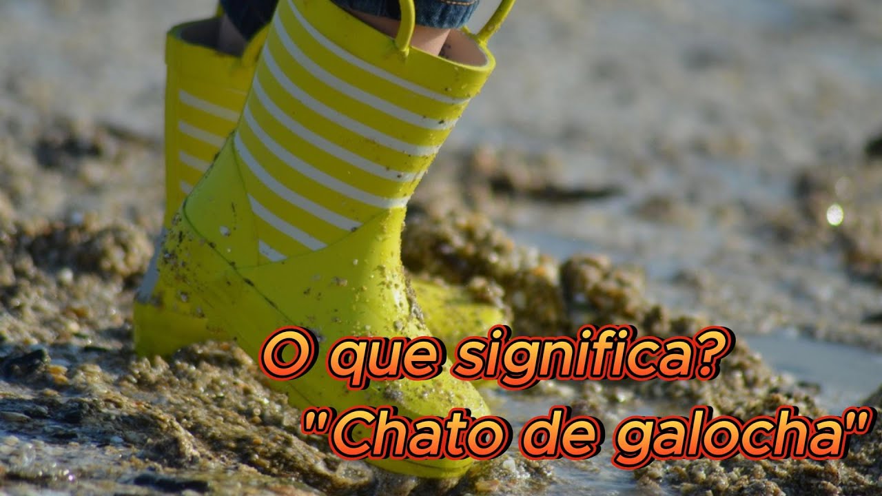 Chato de galocha