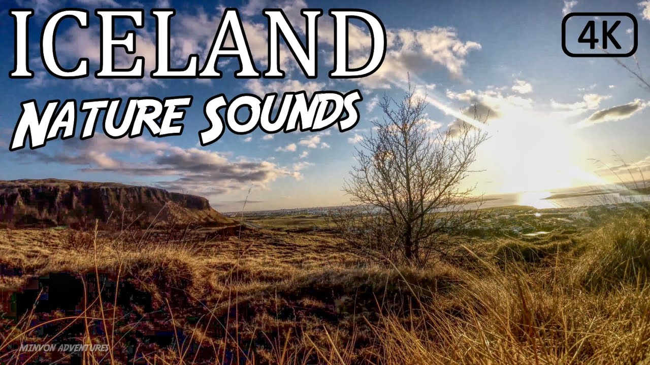 Iceland Nature Sounds • Soft Wind & Birds Singing [Nature Scenery In 4K] Meditation & Relaxation