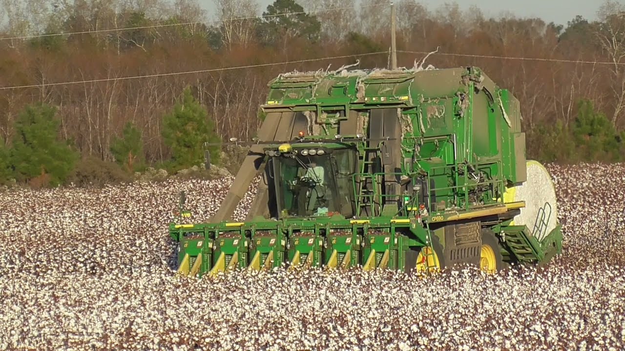 John Deere CP770 and CP690  Picking South Georgia Cotton! SCOTT FARMS 2021 COTTON HARVEST DAY 2 PT1