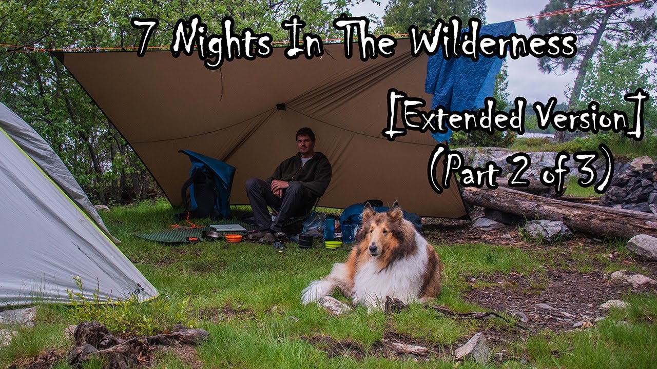 7 Night Wilderness Camping Adventure With My Dog [EXTENDED VERSION] (Part 2 of 3)