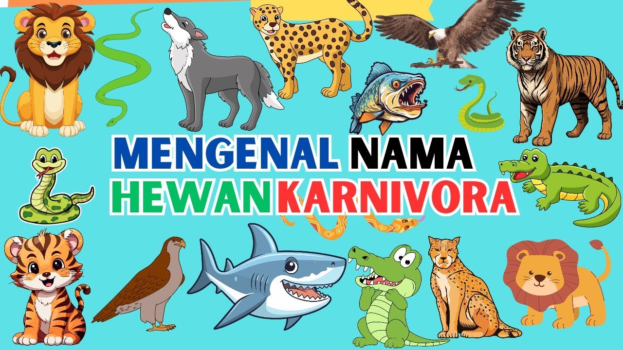 Mengenal Nama Hewan Pemakan Daging |Hewan Karnivora