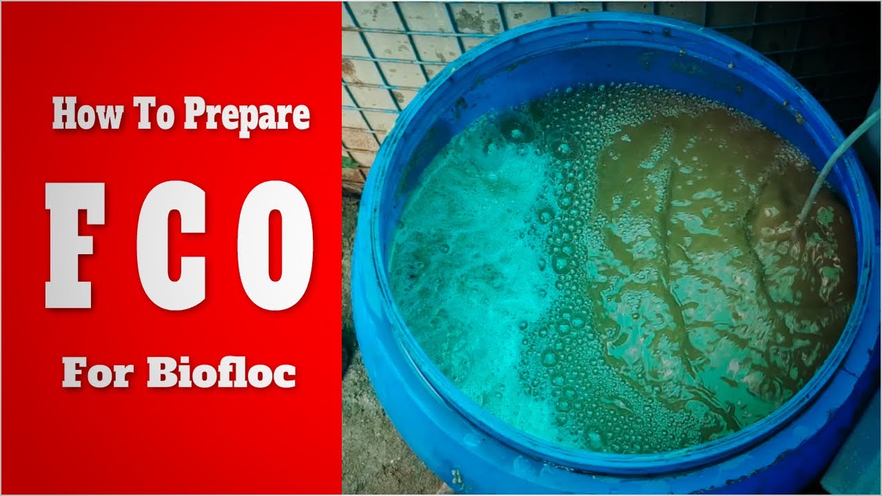 How to Prepare FCO for Biofloc Fish & Shrimp Farming