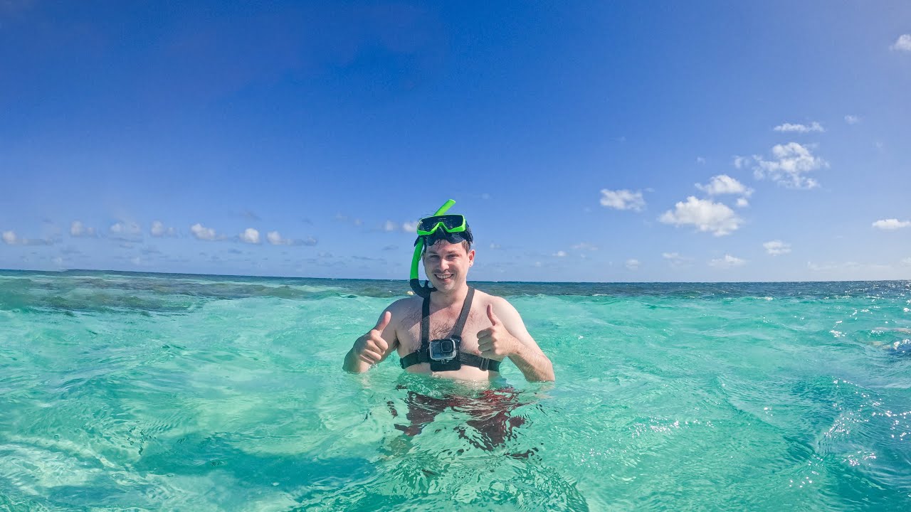POV Swimming with Massive Stingrays in Antigua