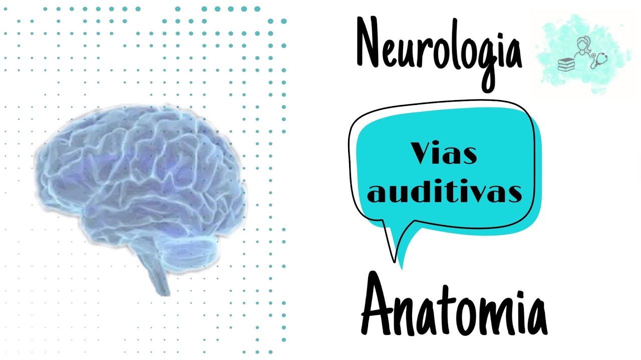 Neurologia - Vias auditivas - anatomia