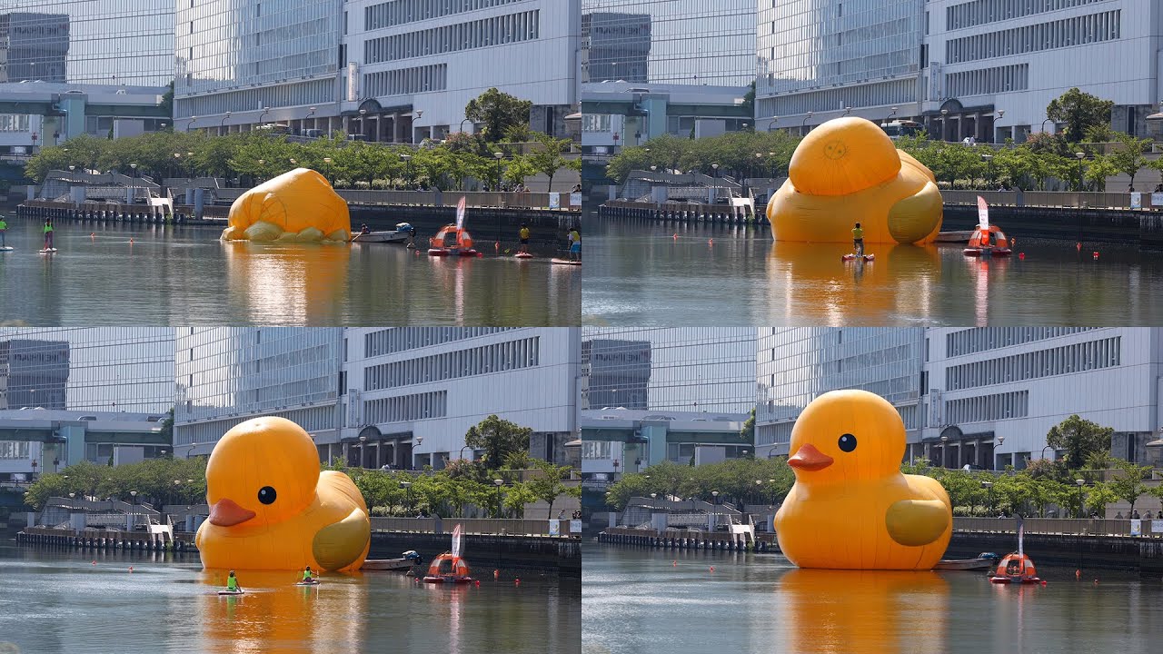 ラバーダック 登場シーン＆船上ツアー 大阪･八軒家浜 2020 Giant Rubber Duck at Hachikenyahama Osaka Japan