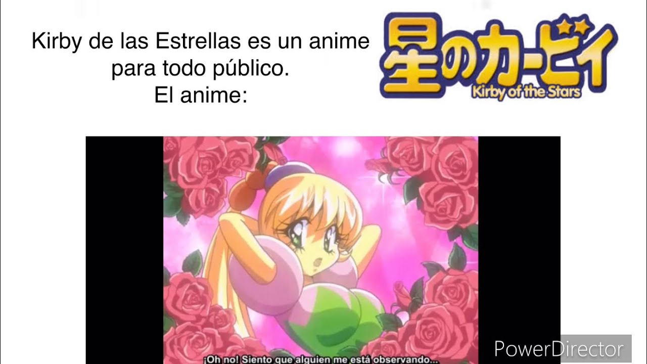 Doble sentido en Kirby de las estrellas