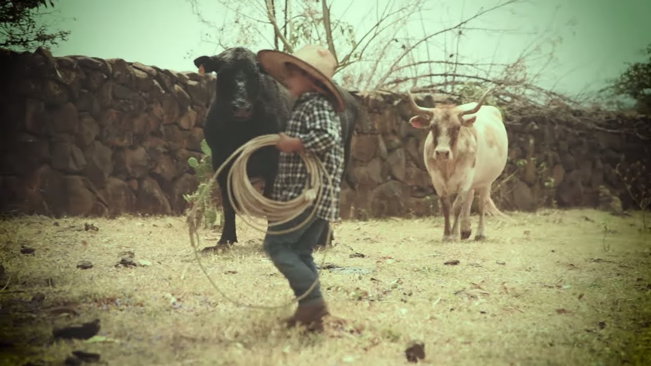 La Vieja Hacienda (Video Oficial) - Dueto Los Centenarios