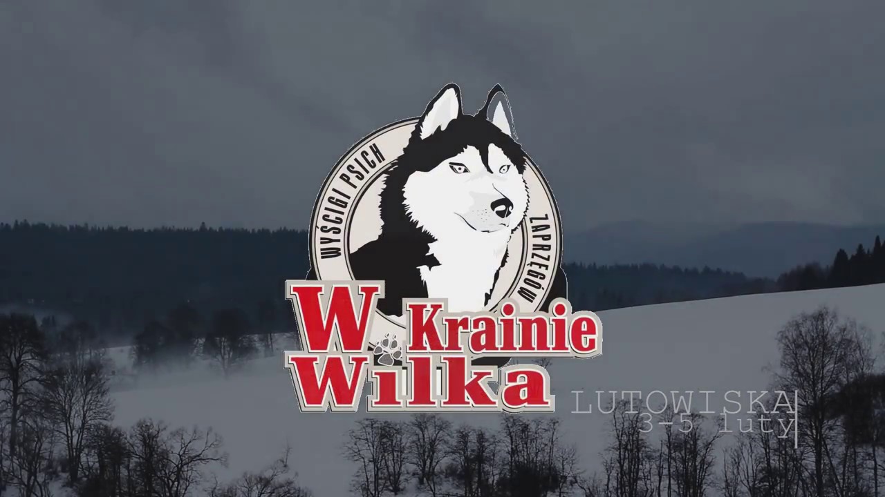 W Krainie Wilka 2017 | Lutowiska - wyścigi psich zaprzęgów