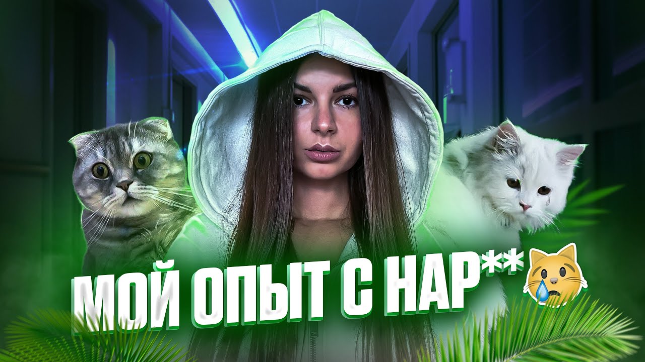 МОЙ ОПЫТ С НАР🐈🐈🐈