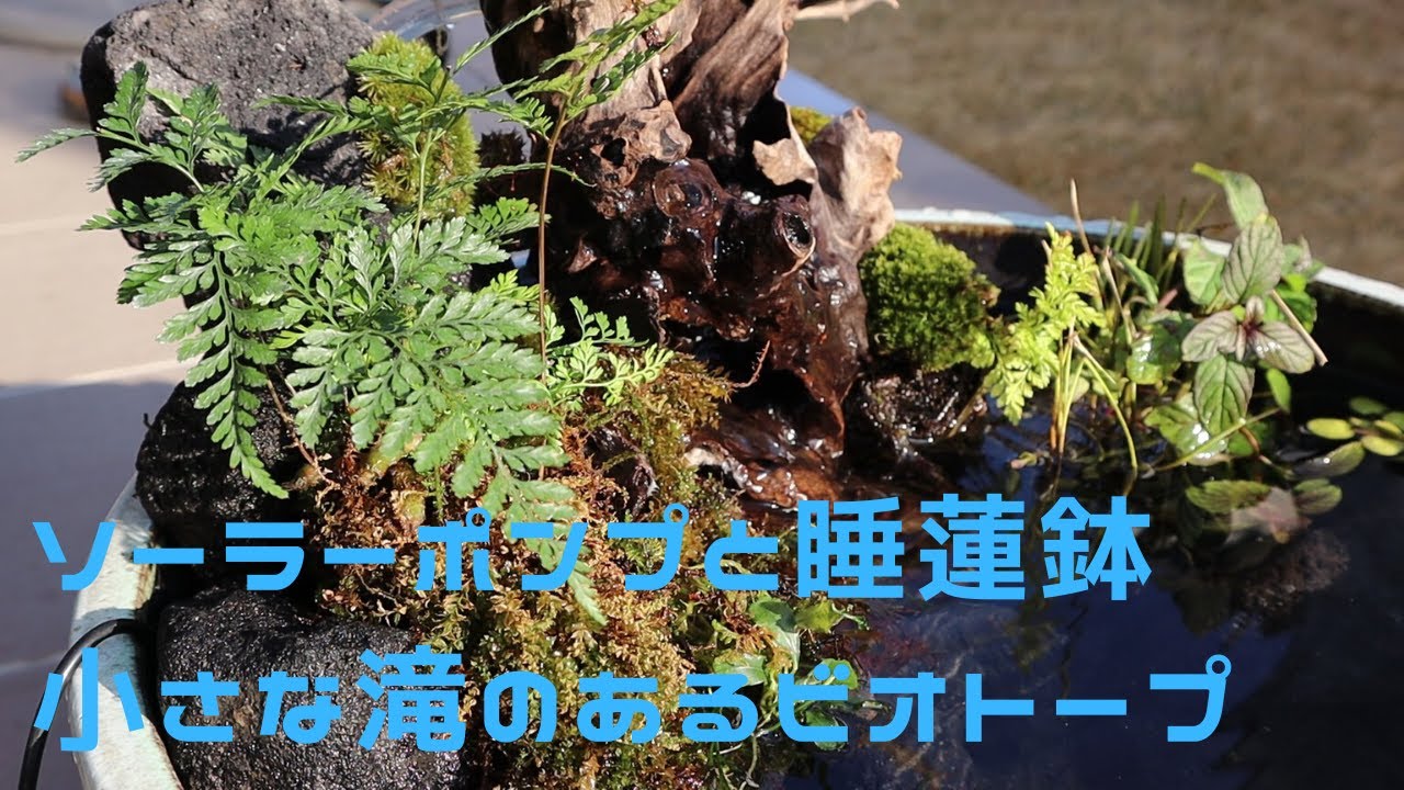 【制作】ソーラーポンプと睡蓮鉢を使った滝のあるビオトープ